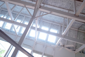 101119 b2 RIMG4185.jpg